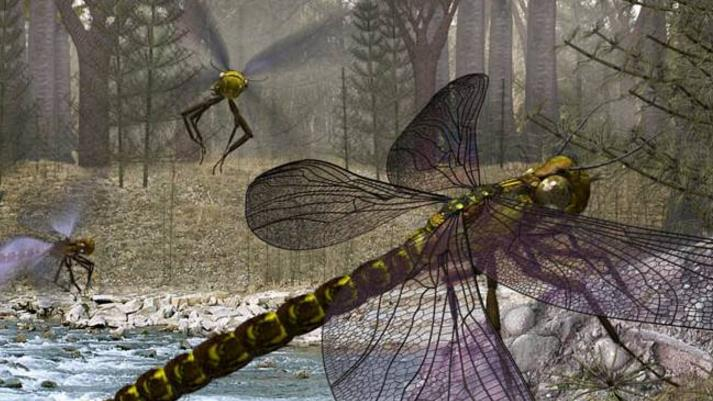 史前蜻蜓(十大灭绝的可怕古生物)
