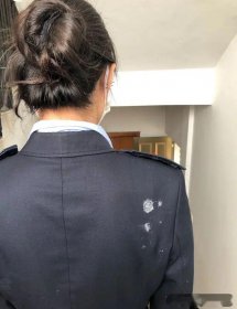 鸟屎掉身上有什么预兆 这可以预示你要发大财