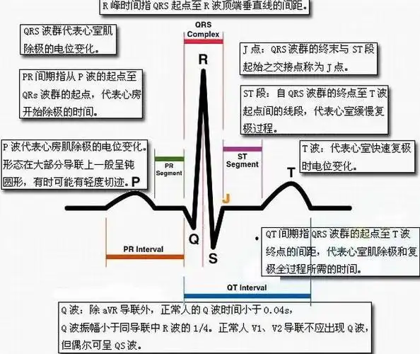 正常心电图的分析 - myfriendoo - myfriendoo的博客