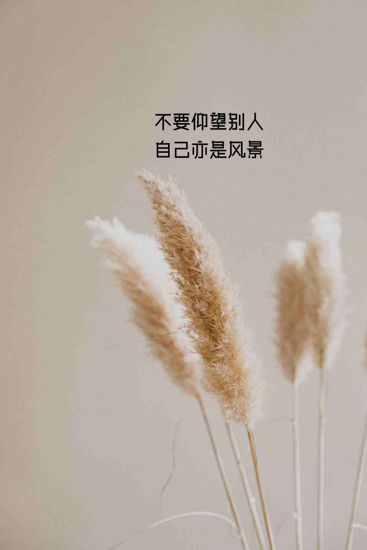 正能量励志带字图片