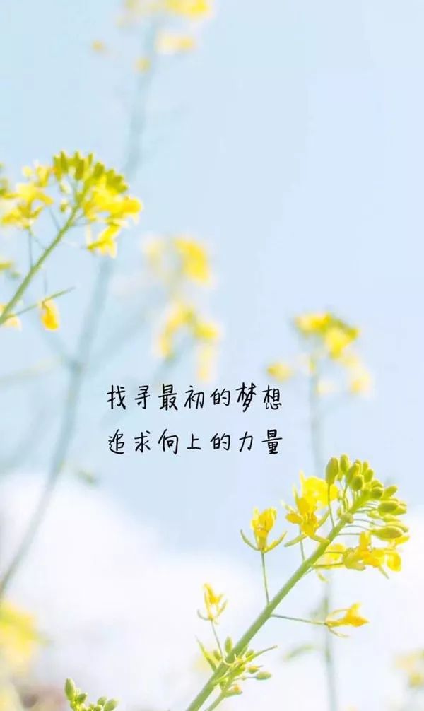 特别漂亮的早上好图片早上好心情的句子