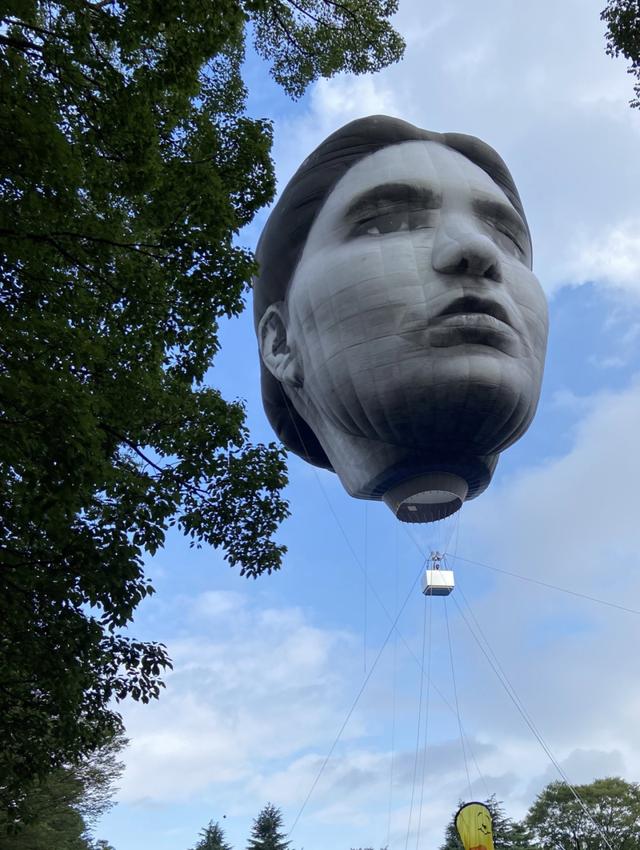 倒过来看吓死人的图(倒过来很恐怖的图)-天晟网