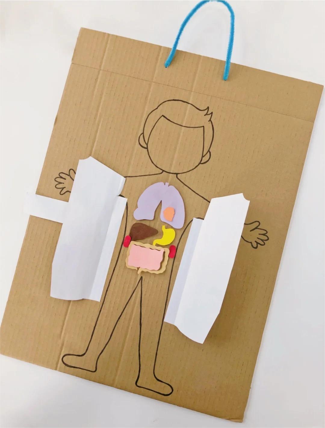 科普类环保手工教程丨自制人体器官启蒙玩具 98 用闲置的纸箱自制