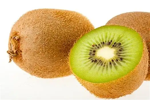 中华猕猴桃图片_中华猕猴桃图片大全_中华猕猴桃图片素材