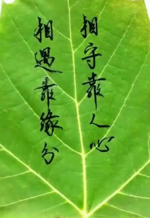 相遇靠缘分,相守靠人心