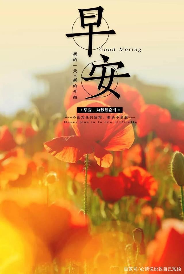 早安心语正能量图片加句子:坚强起来,走过风雨熬煎的日子