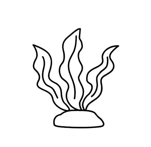 花简笔画步骤图片大全好看的海底海草简笔画图片教程步骤水草简笔画