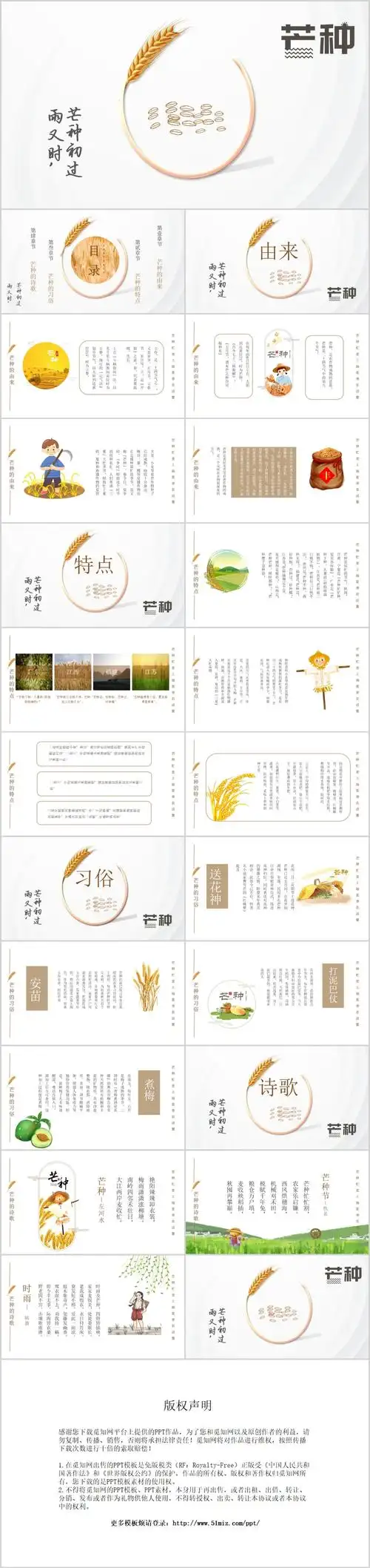 白色简约风二十四节气之芒种节日介绍