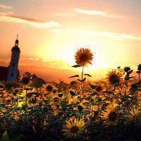 日出头像图片大全高清_微信头像图片大全