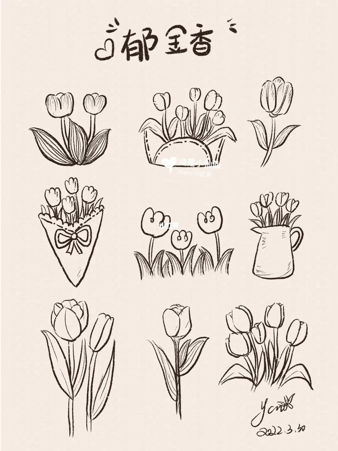 画个简笔画春天当然要有郁金香