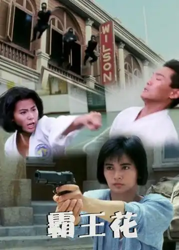 神勇飞虎霸王花-电影-高清完整版在线观看-西瓜视频