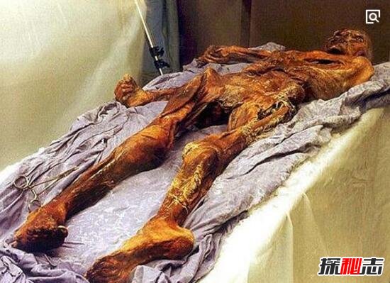 俄老太去世13年无人知晓,尸体腐烂变成木乃伊(恐怖)