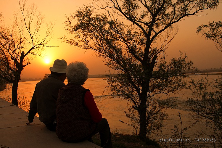 11041920563b50d49a645d8c23