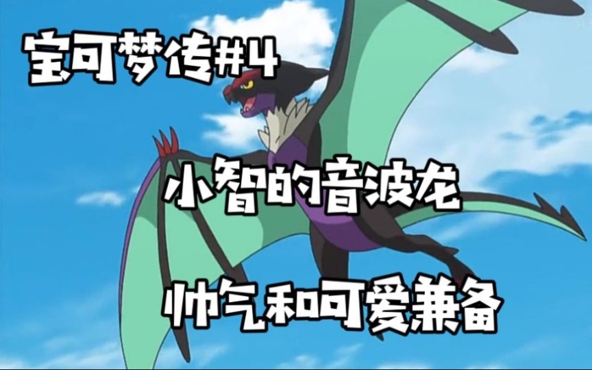 活动  【宝可梦传#4】小智的音波龙 帅气和可爱兼备