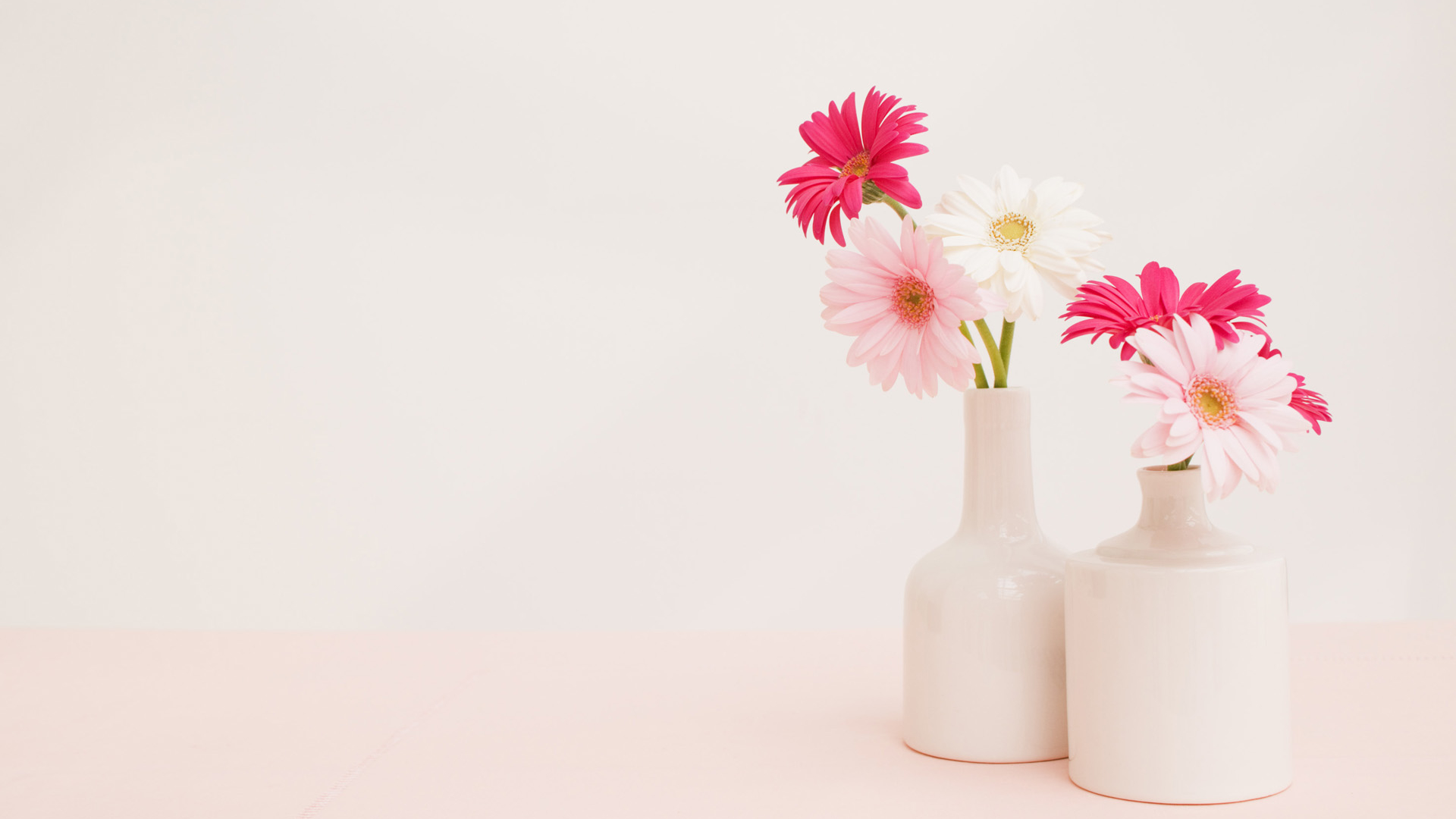 小清新盆栽唯美清爽高清桌面壁纸