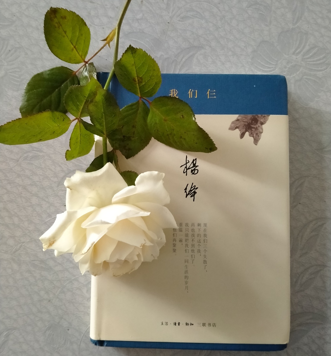 书与花,玫瑰,我们仨