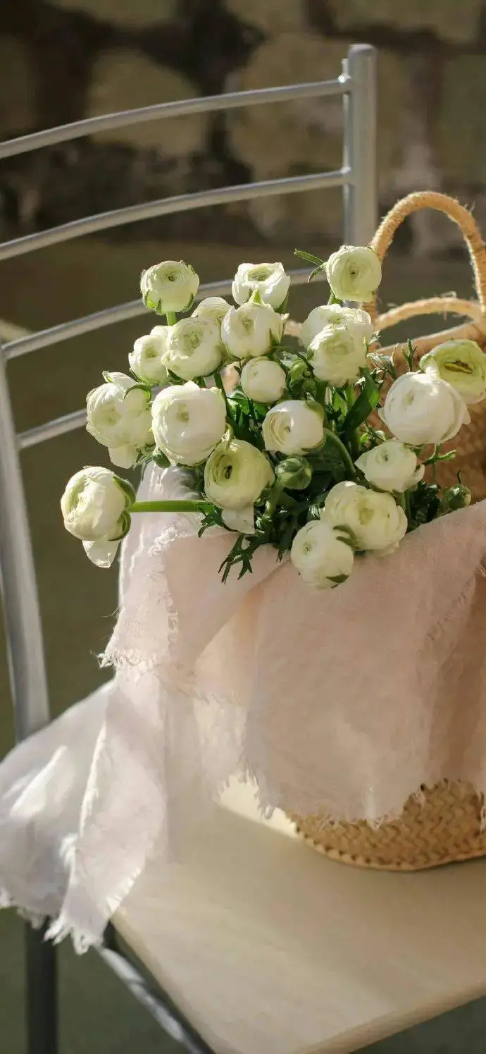 wechat聊天背景图 | 手机壁纸