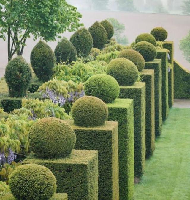 少了绿篱的花园是没有灵魂的,这几款设计好美,好想立马搞同款!