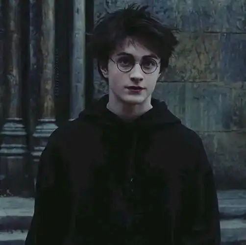 想找几张关于哈利波特的头像