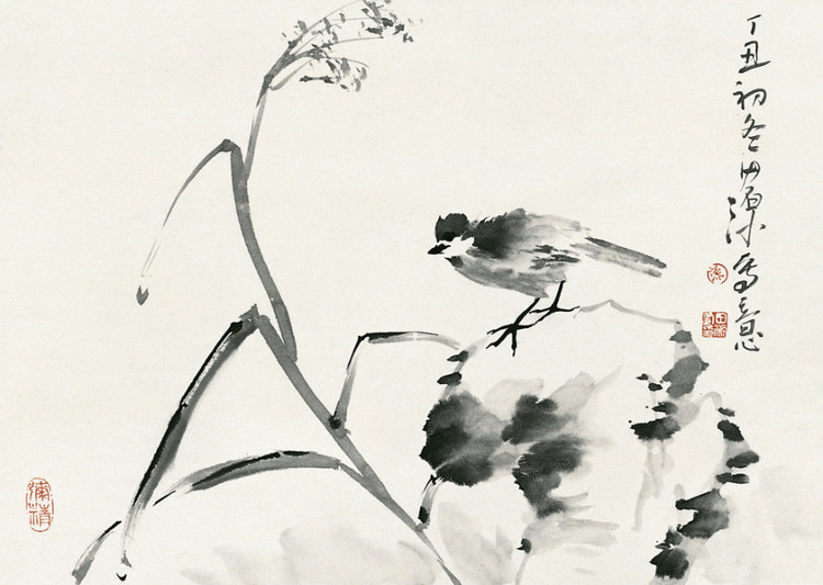 浙江中国花鸟画家协会理事 田源先生1960年出生于贵阳