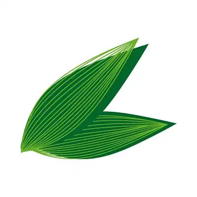 绿色粽叶元素png素材