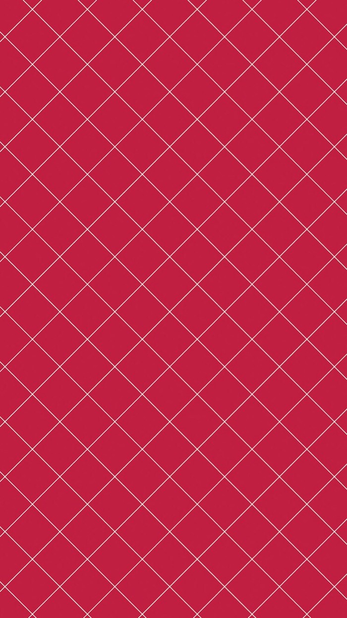 红色斜格纹
