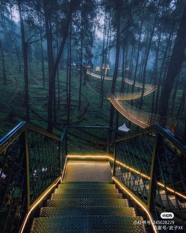 森林里穿梭栈道