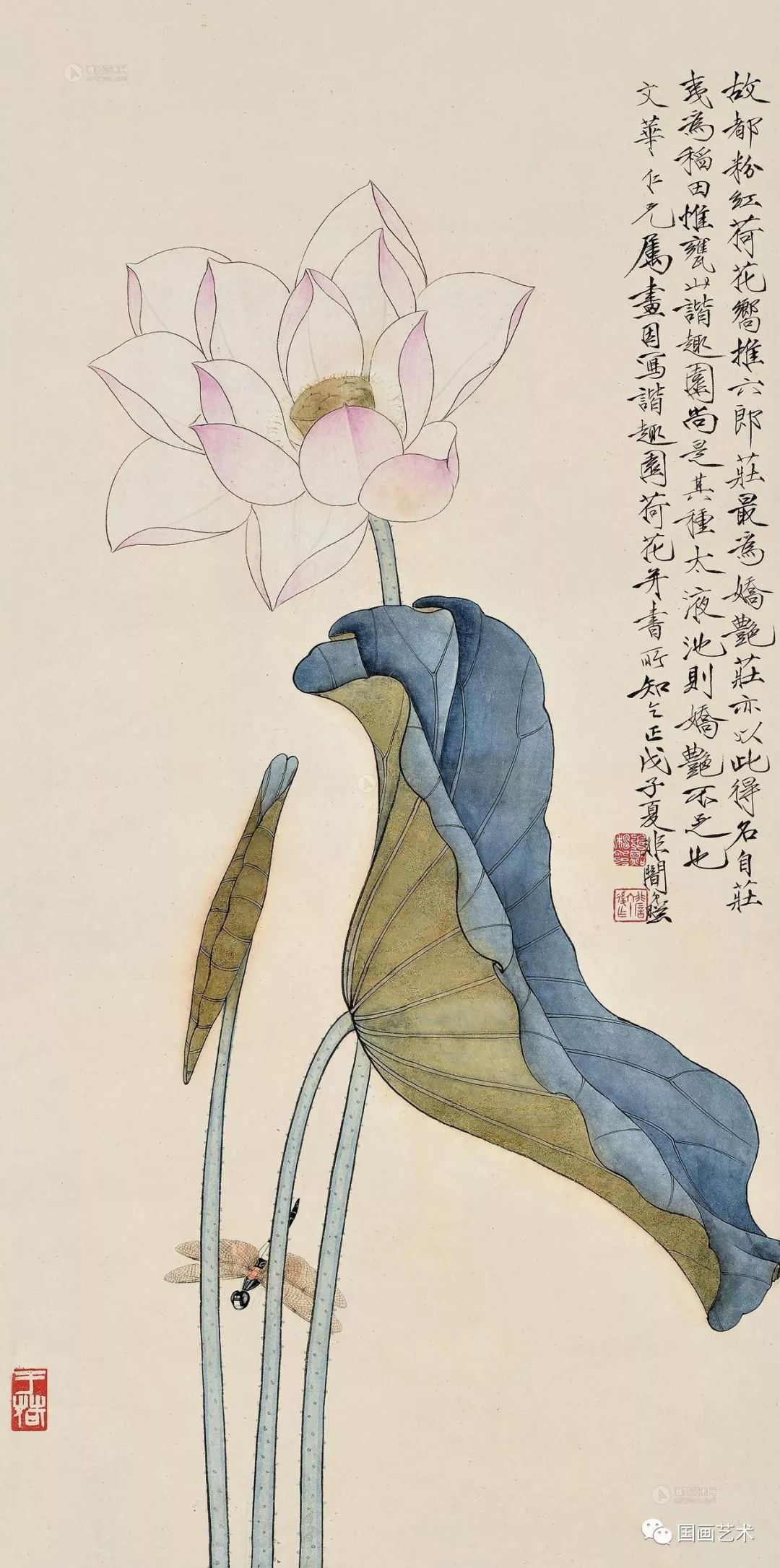 名家笔下的荷花蜻蜓清凉