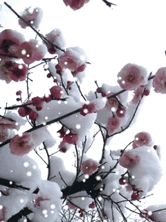 动态风景手机壁纸(2)240*320_爱上素材网