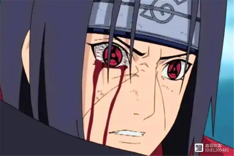 火影中出现的15双万花筒写轮眼佐良娜天赋过人4双出自鼬回忆