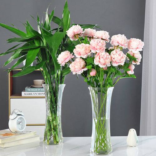 现代简约玻璃花瓶透明大号富贵竹百合水培鲜花插花装饰摆件六角瓶