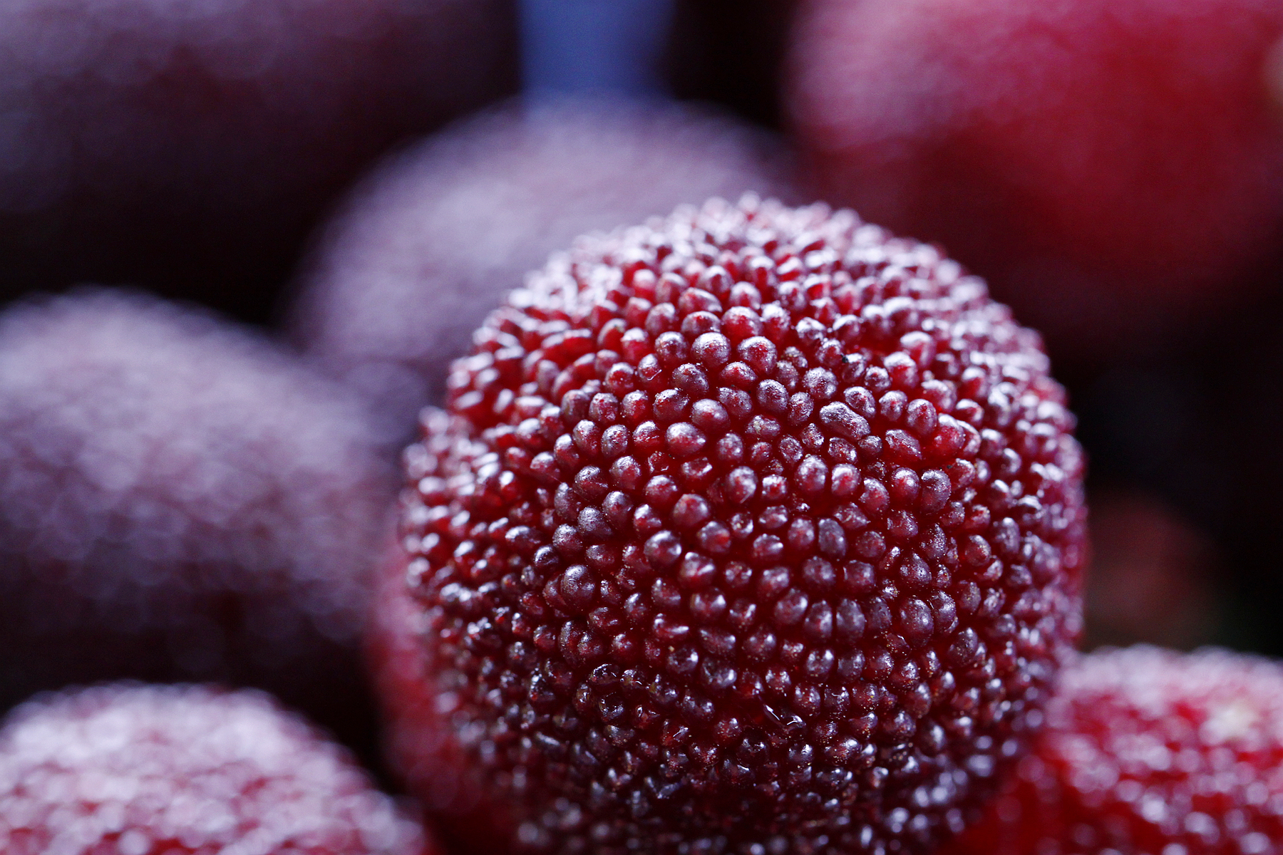 诱人的杨梅图片第12张