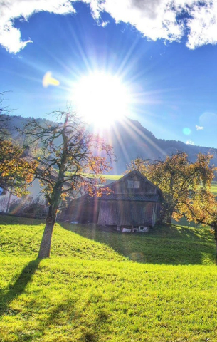 求明媚太阳光的图片