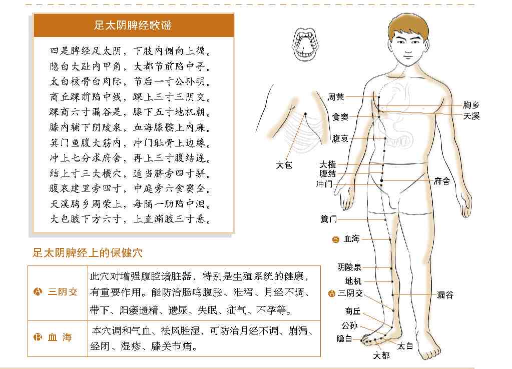 41.下肢内侧向上循,隐白大趾内甲角:足太阴脾经在线收听_下载_喜马拉