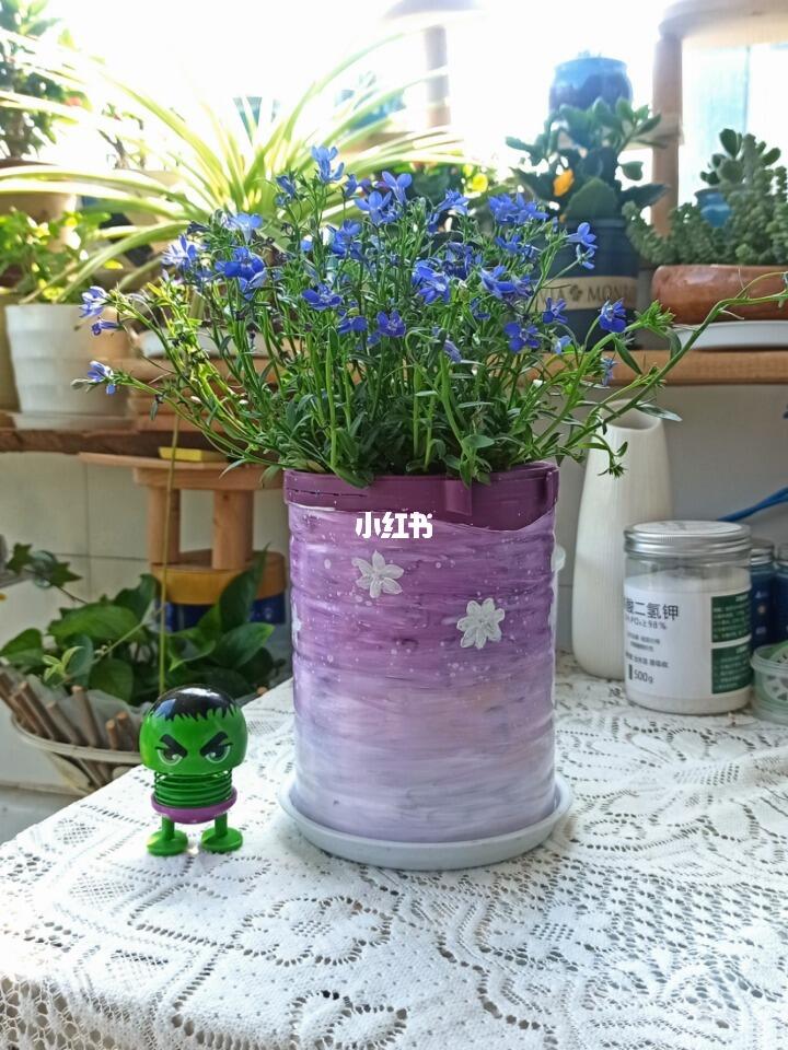 奶粉桶改造花盆