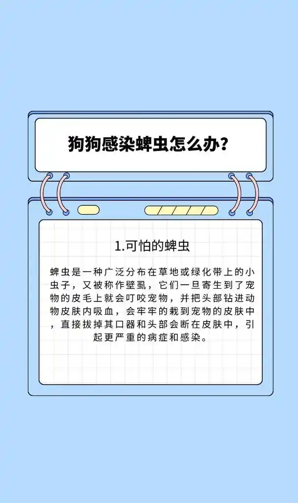 狗狗在家患了蜱虫怎么办?