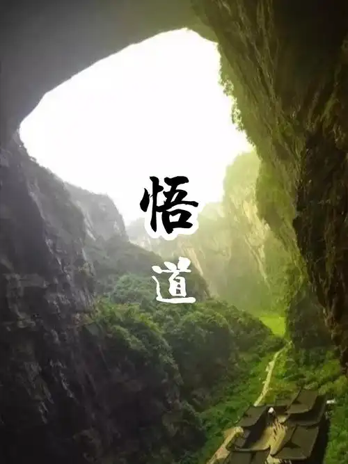 其它 悟道 写美篇  人生最大的痛苦就是心灵没有归属