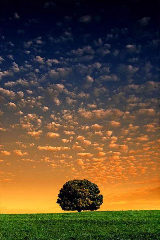 今天是充满希望的一天一首优美轻音乐下雨的时候送给你