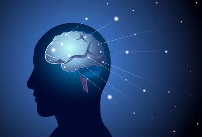 今日思考:未来十年,世界上什么东西增长最快,或者世界上什么地方会