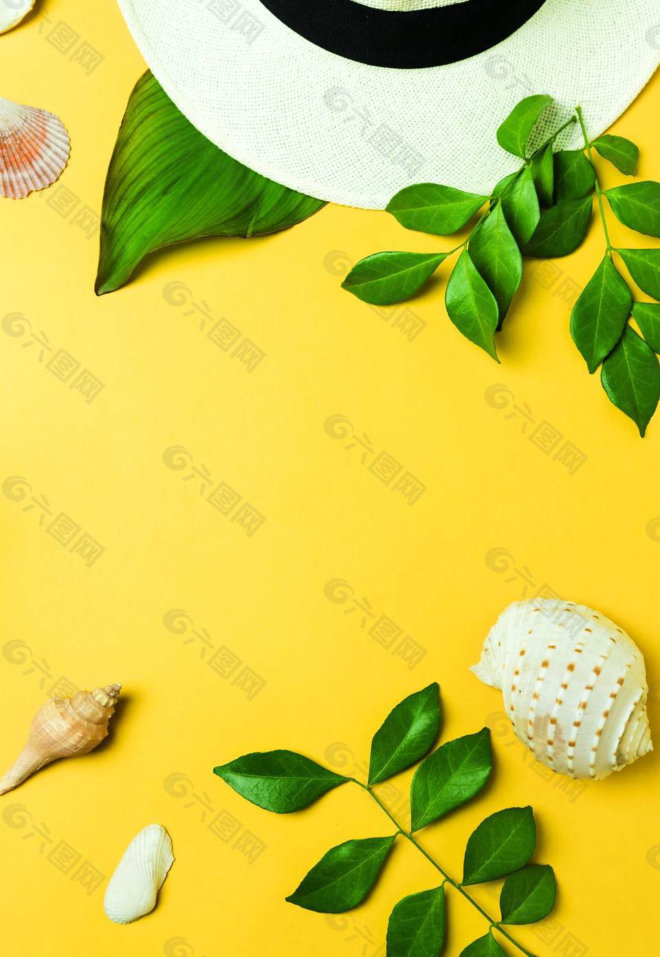 创意植物广告背景背景素材免费下载(图片编号:7709806)-六图网