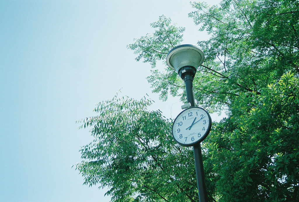 配图-堆糖,美好生活研究所