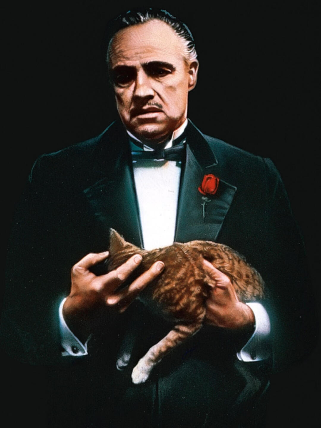 1080_1441竖版 竖屏