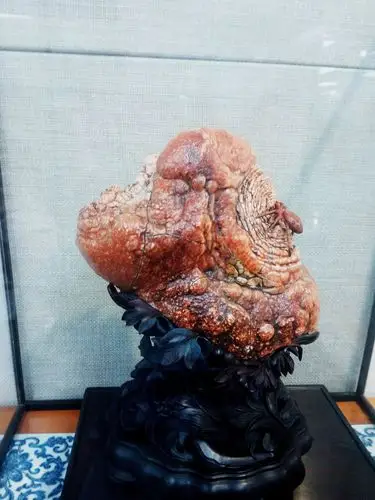 奇石百态(3)——各种象形观赏石(下)