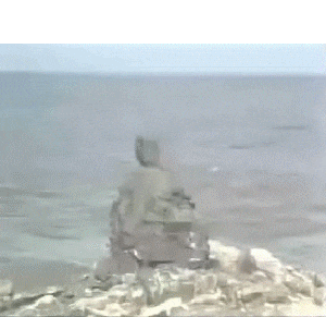 石头里蹦出个孙悟空 试问是谁那么牛把石头给整怀孕了