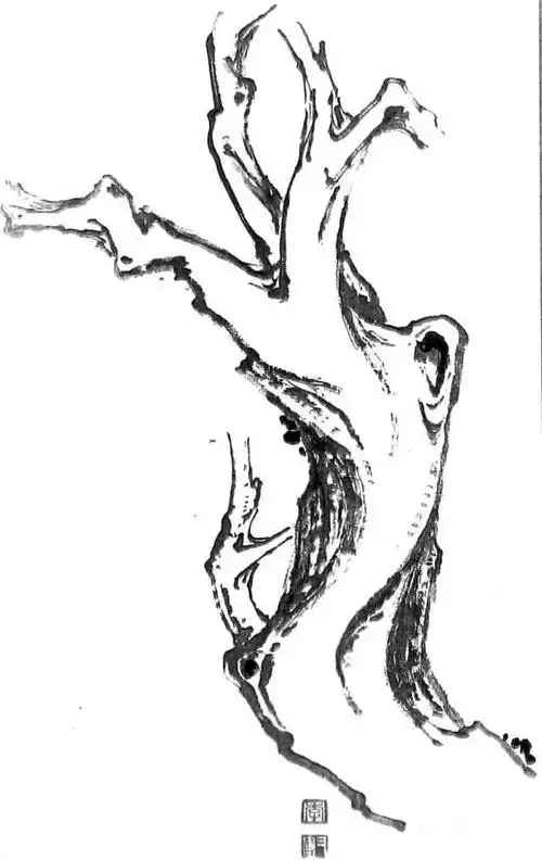 虬曲苍劲力争岁月的老庄树干范本