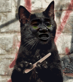 一起睡觉觉_睡觉觉_一起表情