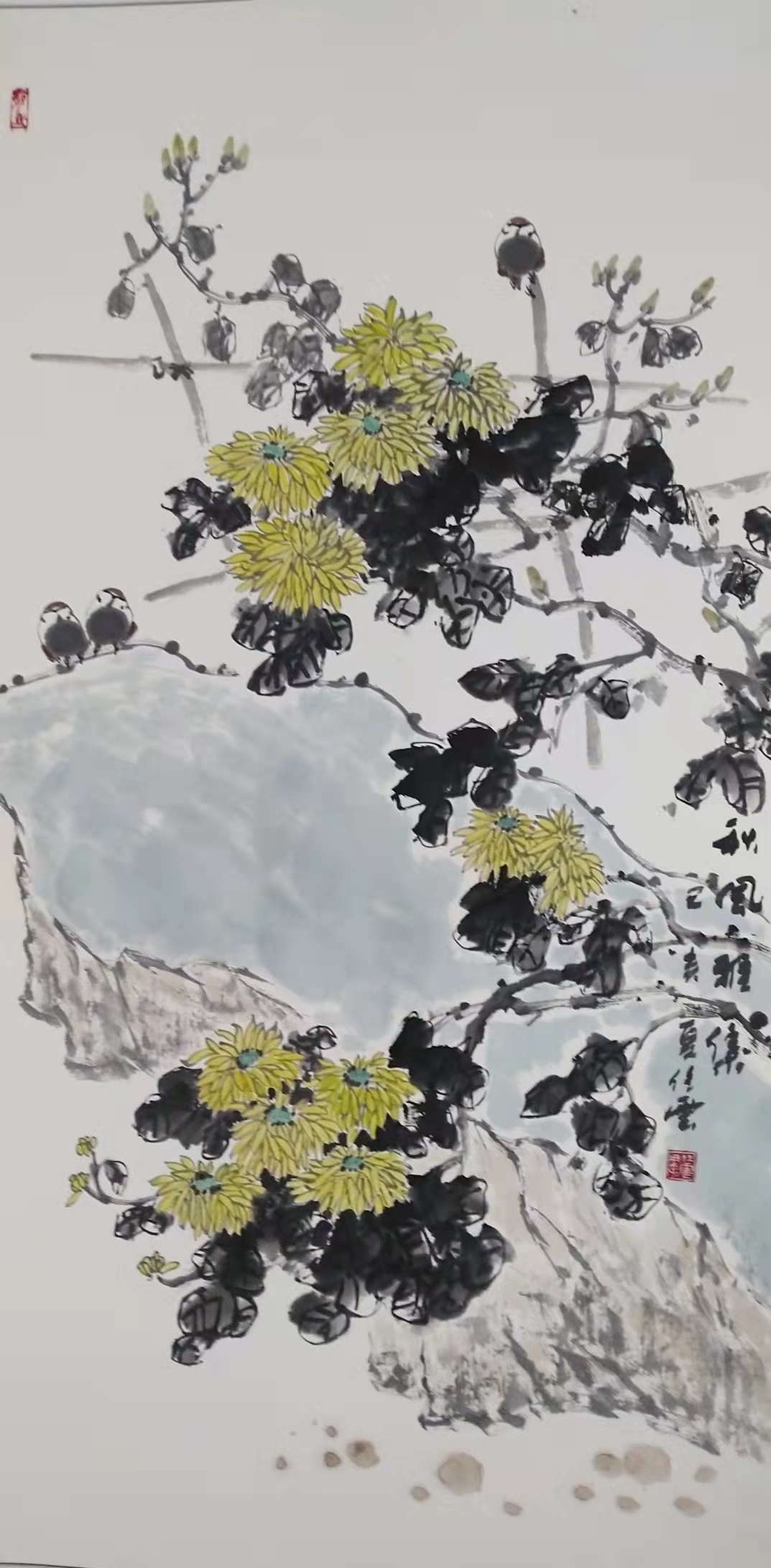 任云大写意花鸟画作品集