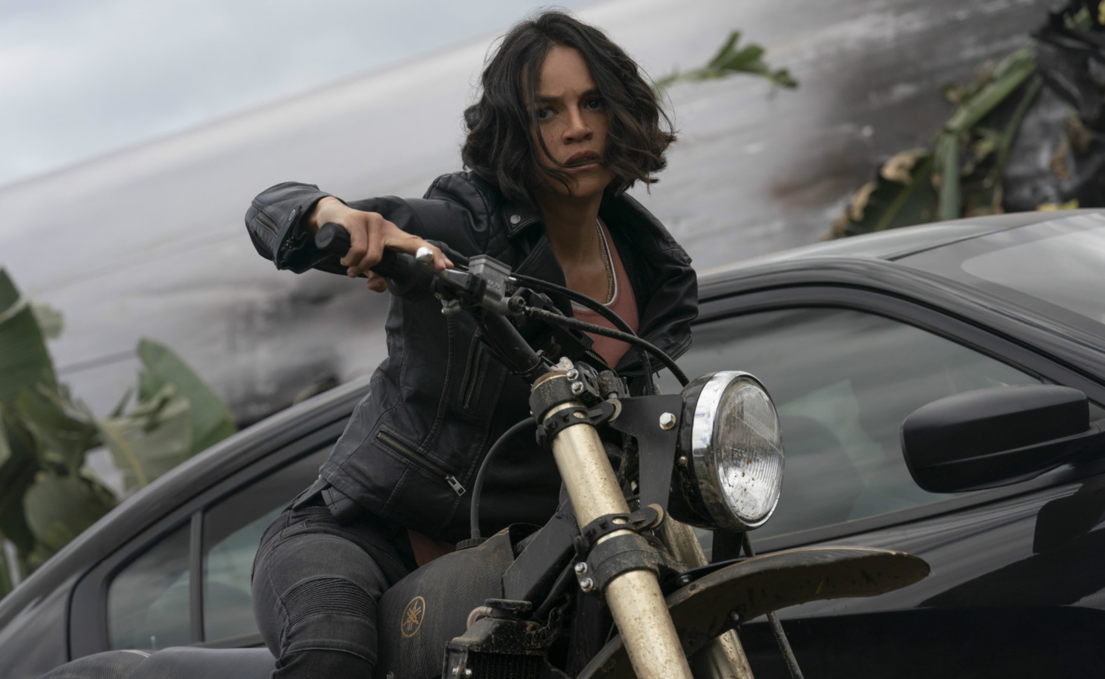 十多部美国大片面临票房危机黑寡妇速9处境尴尬