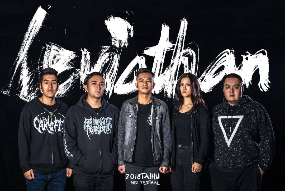 的综合体 在加拿大独立音乐届树立了稳固地位 目前阵容包括前零壹乐队