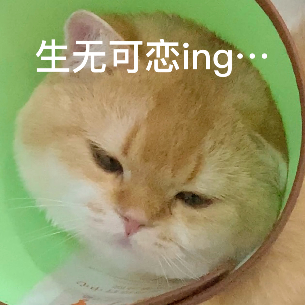 生无可恋表情包系列摆烂人必备 失去我地球还转的动 开摆吧02表情包